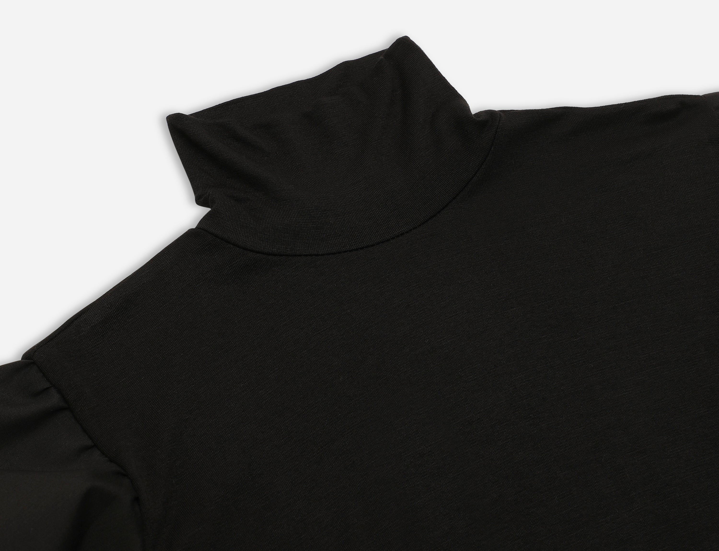 High neck top with shirt sleeves